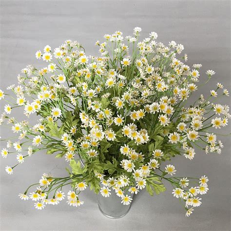 fake montie with daisy|Fake Daisies .